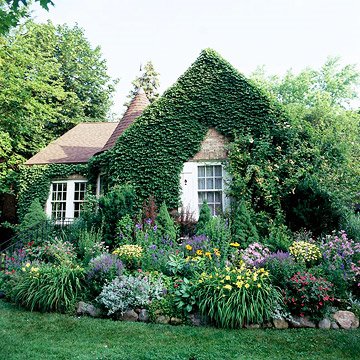 cottage garden presentment